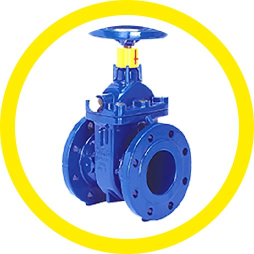 Series 555 Gate Valve