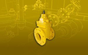 Gas valves and sections