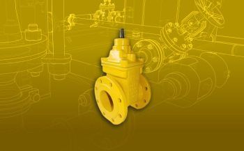Gas valves and sections