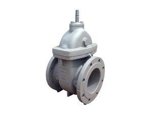 Steel-555-gate-valve