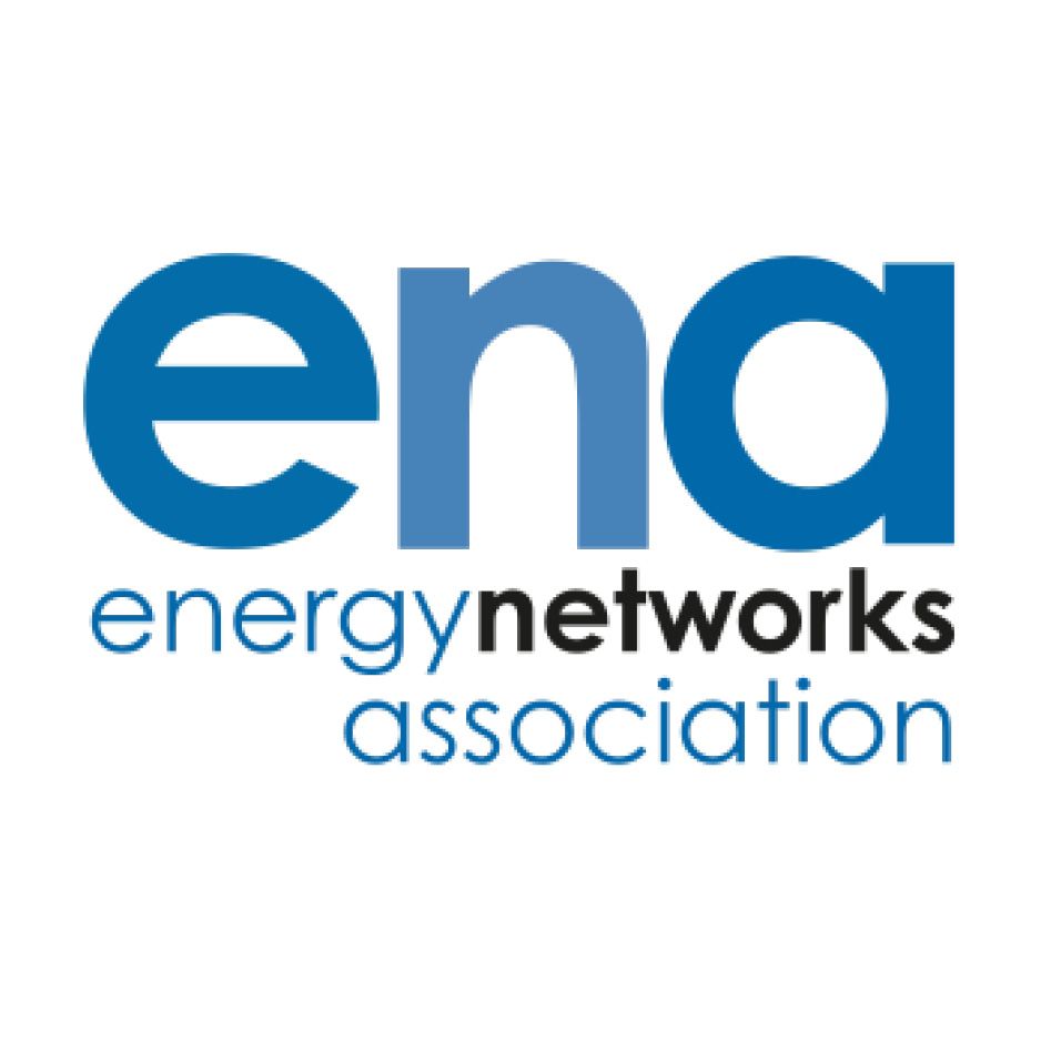 energy networks association logo